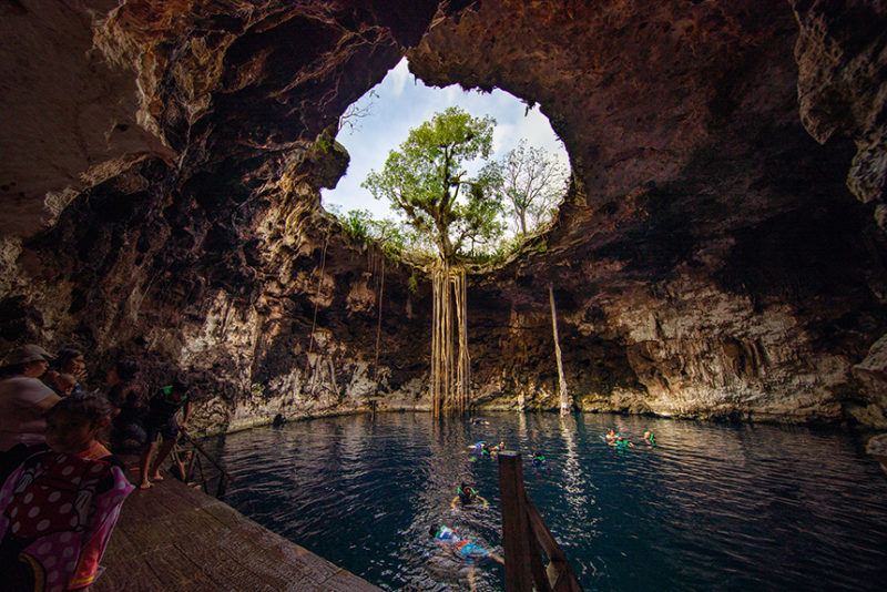 A lush cave with kids swimming in the water